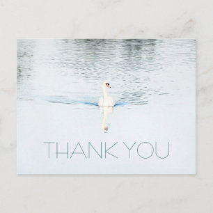 Swan in Water Minimalist Thank You Postcard