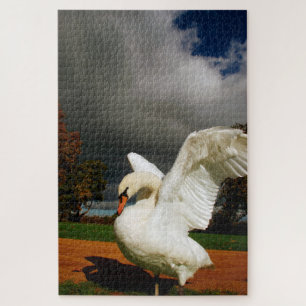 Swan Jigsaw Puzzle