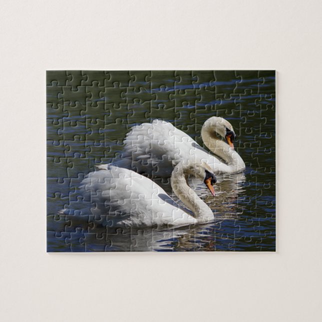 Swan Jigsaw Puzzle (Horizontal)