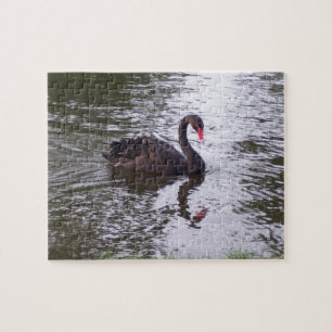 Swan Jigsaw Puzzle