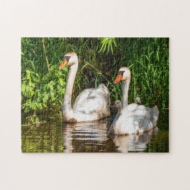 swan jigsaw puzzle (Horizontal)