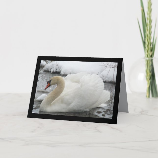 Swan King Card (Front)