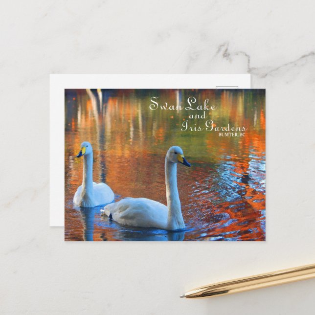Swan Lake and Iris Gardens, Sumter, SC Postcard (Front/Back In Situ)