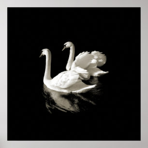 Swan Lake - Black and White poster