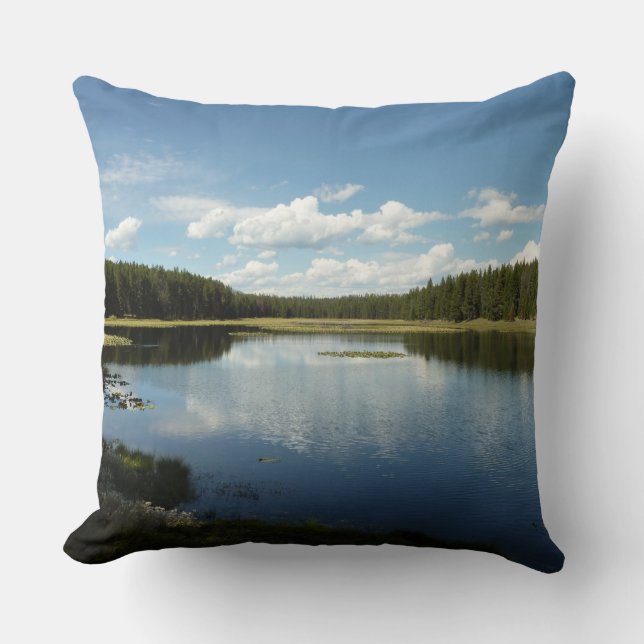 Swan Lake II at Grand Teton National Park Cushion (Front)