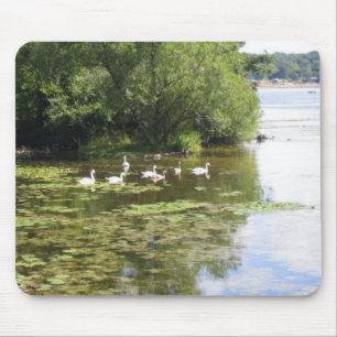 Swan Lake Mouse Pad