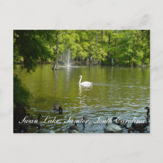 Swan Lake Postcard