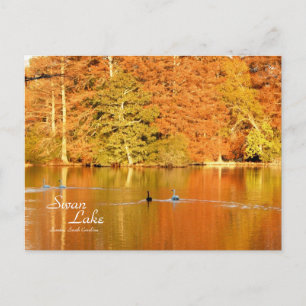 Swan Lake, Sumter SC Postcard