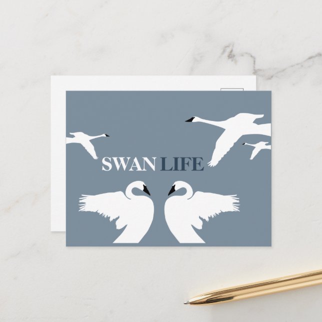 Swan Life, Elegant Swan Postcard (Front/Back In Situ)