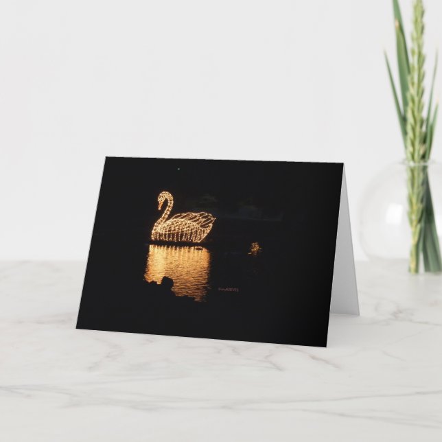 Swan Lights Greeting Card (Front)