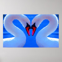 Swan Love, Romantic Heart Shaped Necks