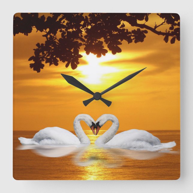 Swan love square wall clock (Front)