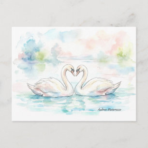 Swan Lovers - Valentine's Day Holiday Postcard