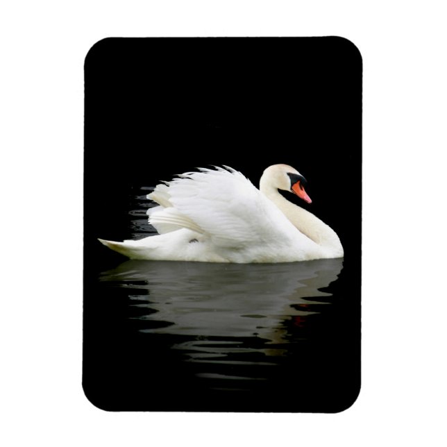 Swan Magnet (Vertical)