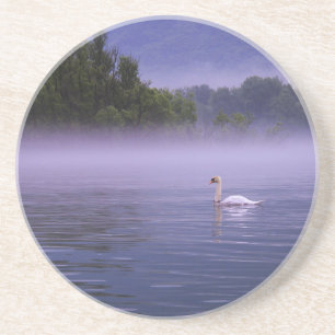 Swan on lake coaster