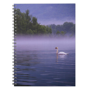 Swan on lake notebook