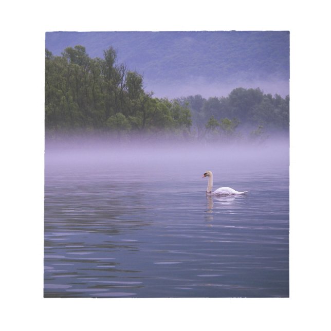 Swan on lake notepad (Front)