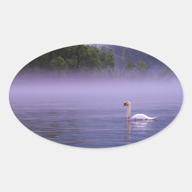 Swan on lake oval sticker (Front)