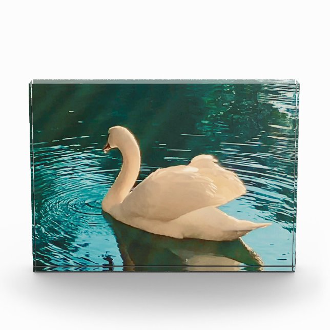 Swan on Pond Photo Block (Front)