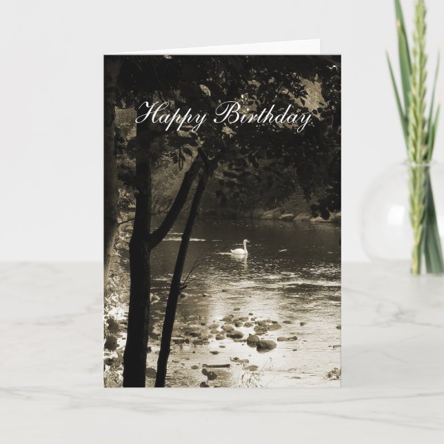 Swan on the River - Birthday Card (Front)