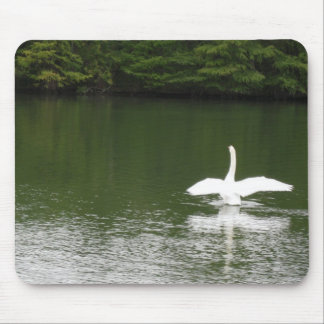 Swan on Town Lake Mouse Pad