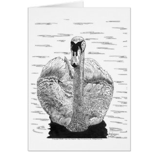 Swan Pen and Ink