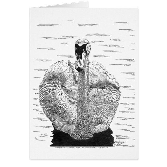 Swan Pen and Ink (Front)
