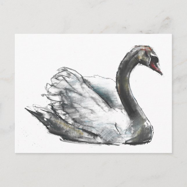 Swan Postcard (Front)