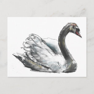 Swan Postcard