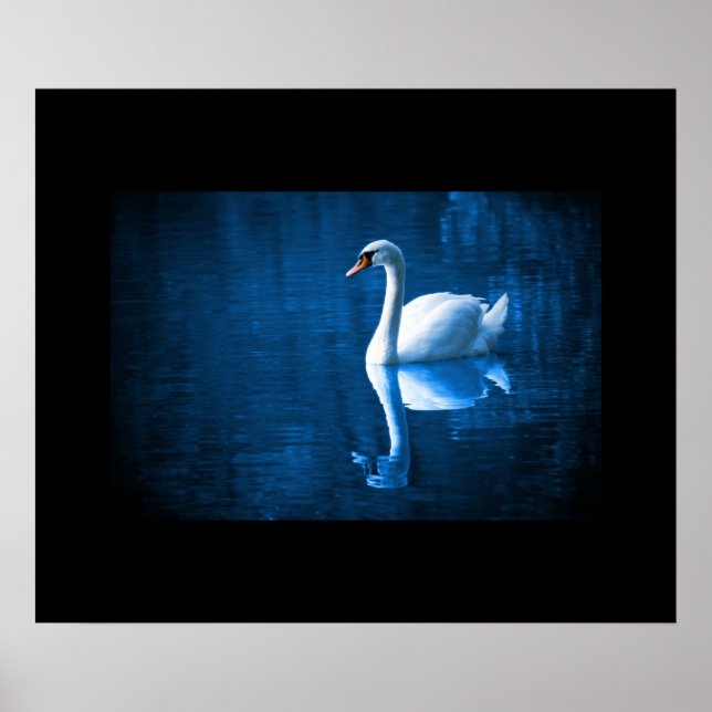 Swan Poster (Front)