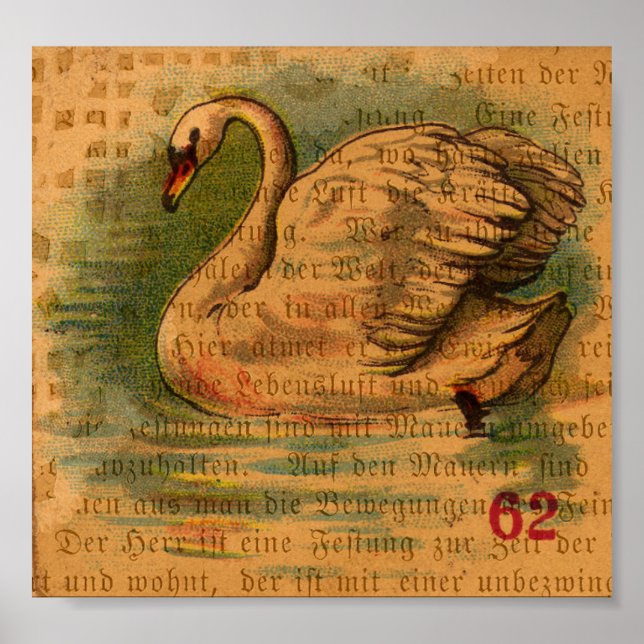 Swan Poster (Front)