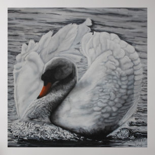 Swan Poster