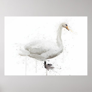 Swan Poster