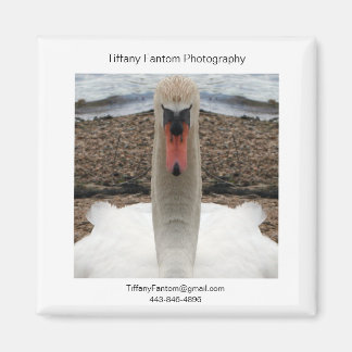 Swan Promo Piece Magnet