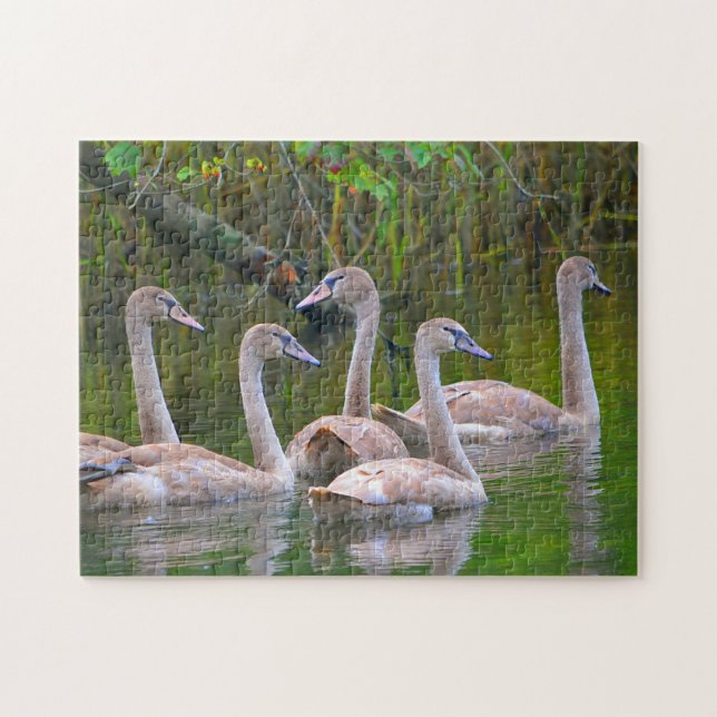 Swan Puzzle (Horizontal)