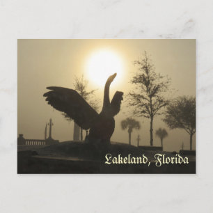 Swan Silhouette Lakeland Florida Postcard