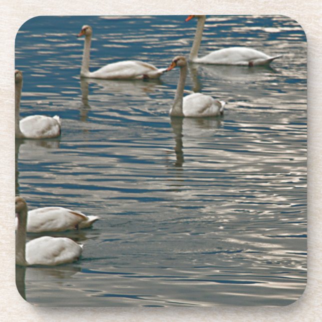 Swan Song Coaster (Front)