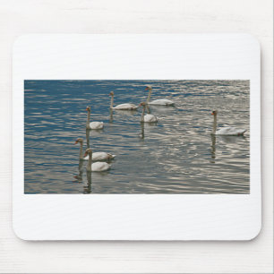 Swan Song Mouse Pad