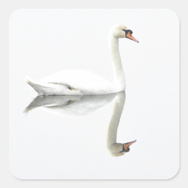Swan Square Sticker (Front)
