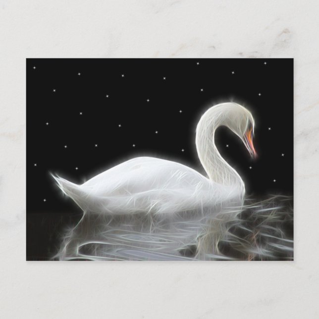 Swan Swimming at Night Postcard (Front)