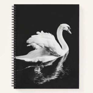 Swan Swimming Black and White Notebook