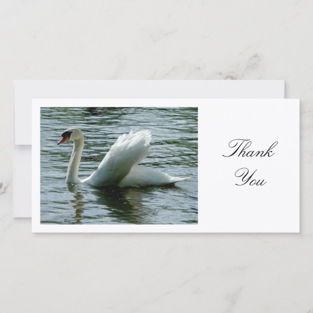 Swan - Thank You Card (Front)