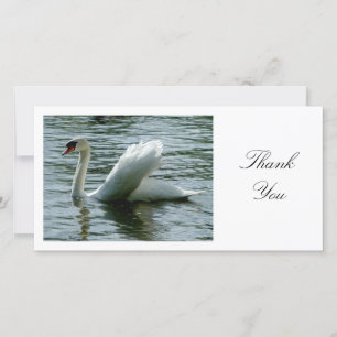 Swan - Thank You Card