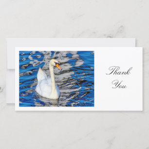 Swan - Thank You Card