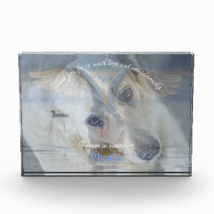 Swan Transparent Image Overlay Acrylic Photo Block