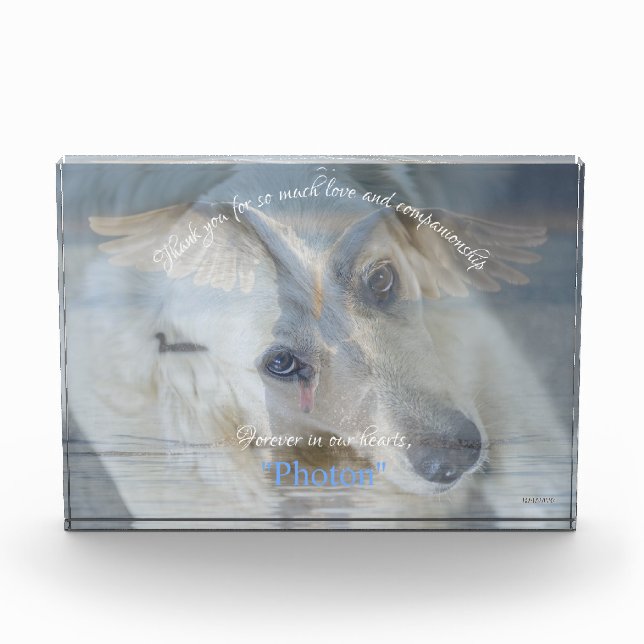 Swan Transparent Image Overlay Acrylic Photo Block (Front)