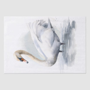 Swan Watercolor Tissue Paper