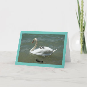 Swan With Babies Mother's Day Card
