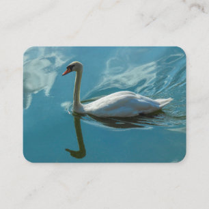 Swan with Cloud Reflections Business Card