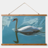 Swan with Cloud Reflections